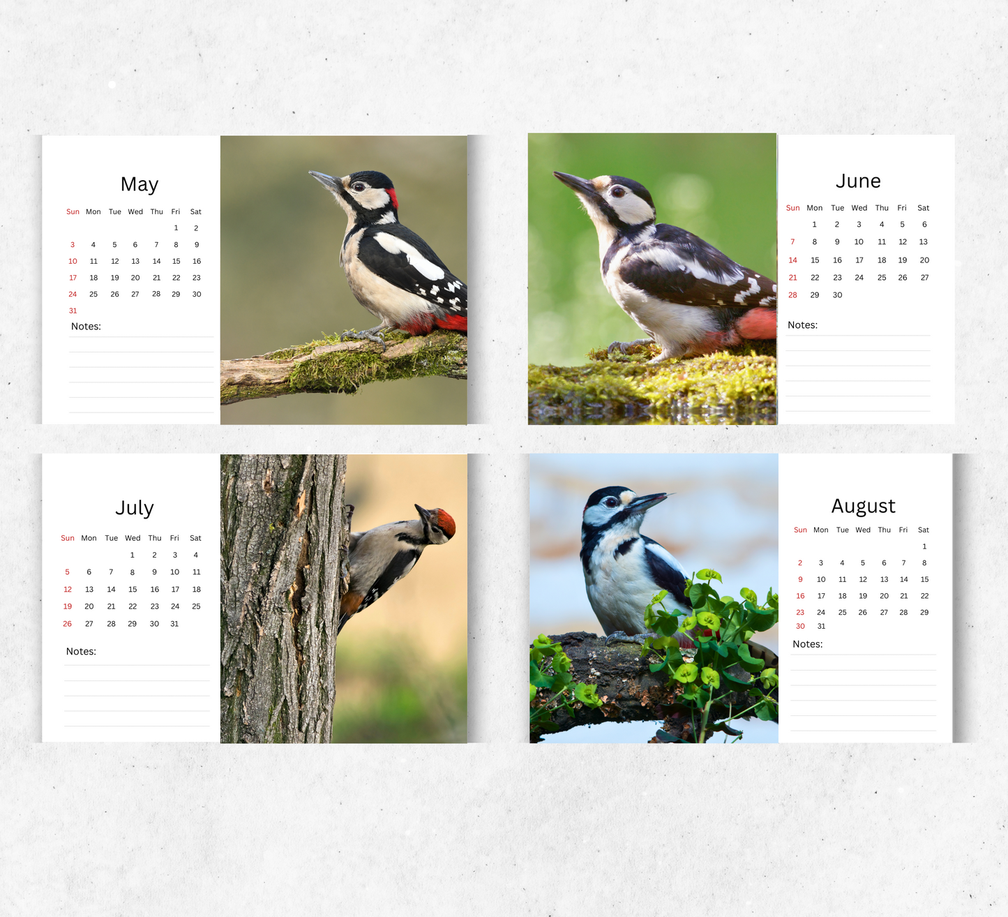 Woodpecker Desk Calendar 2026-2027