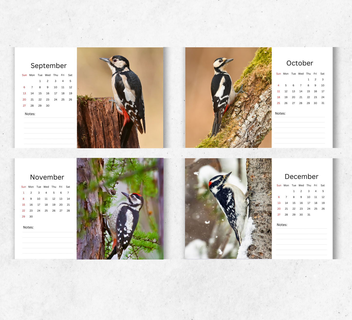 Woodpecker Desk Calendar 2026-2027