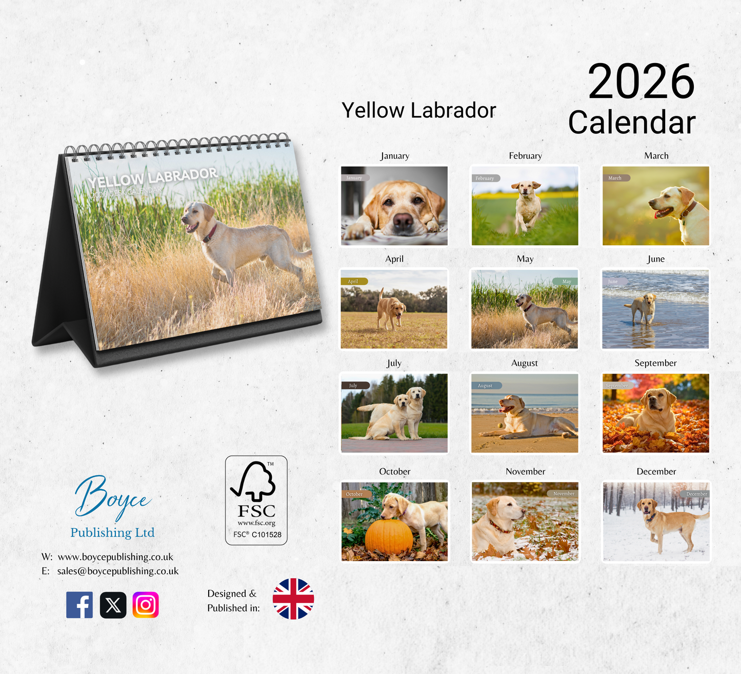 Yellow Labrador Desk Calendar 2026-2027
