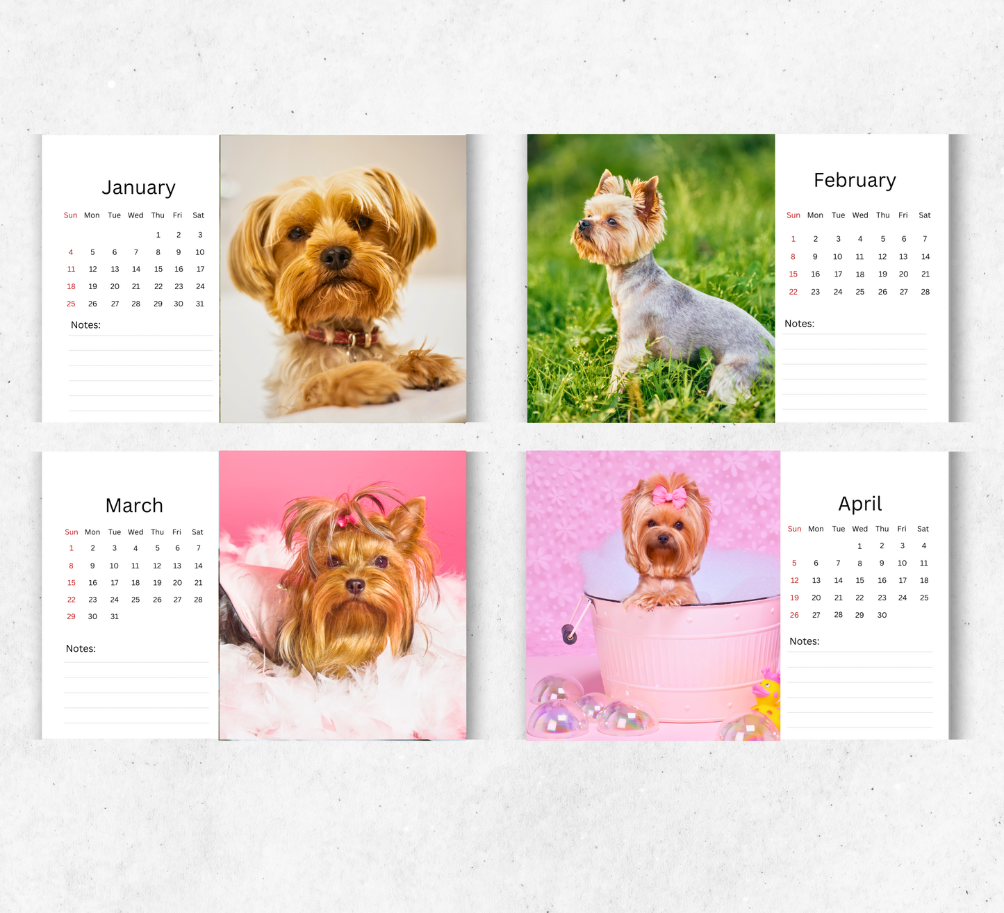 Yorkshire Terrier Desk Calendar 2026-2027