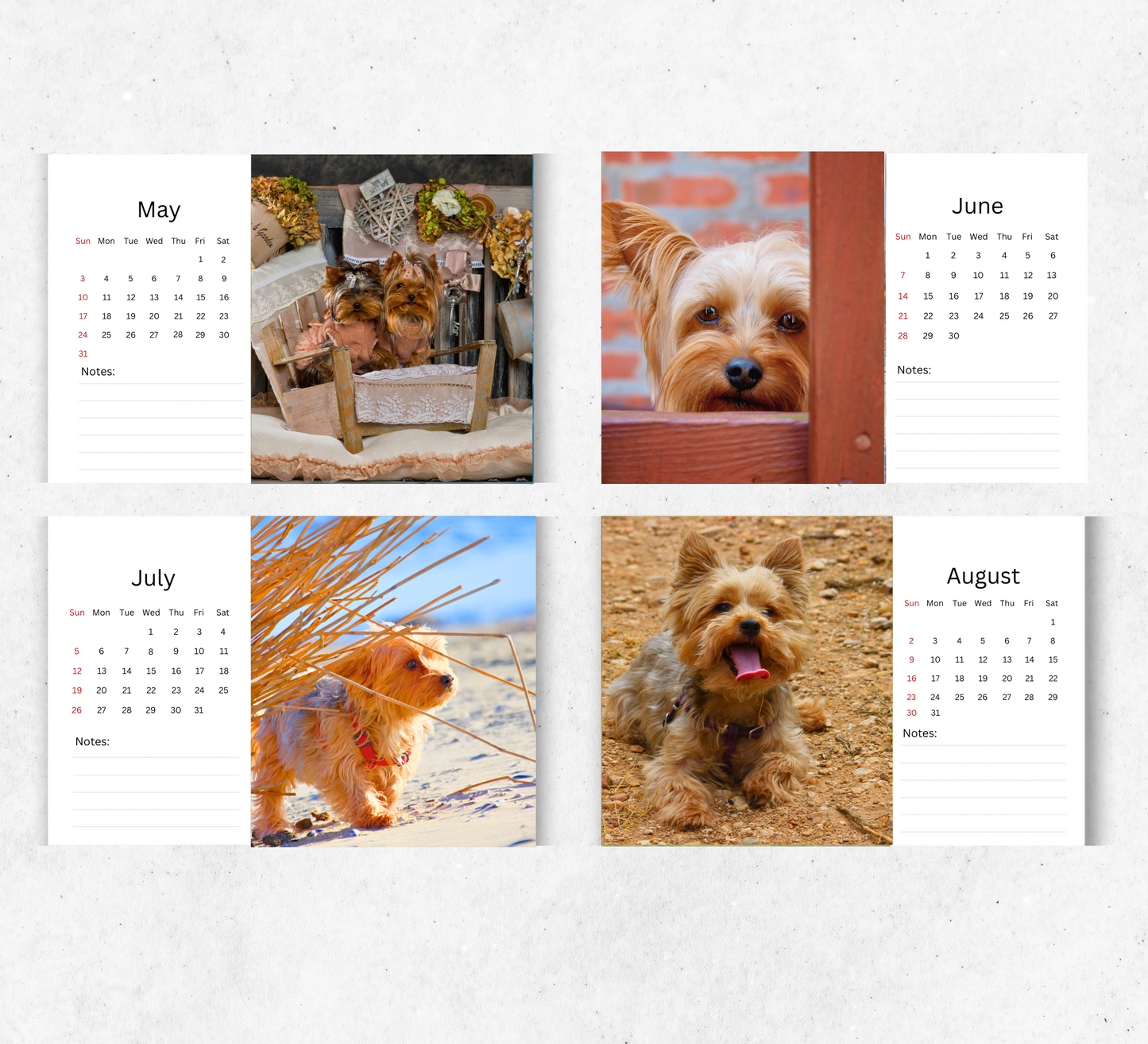 Yorkshire Terrier Desk Calendar 2026-2027
