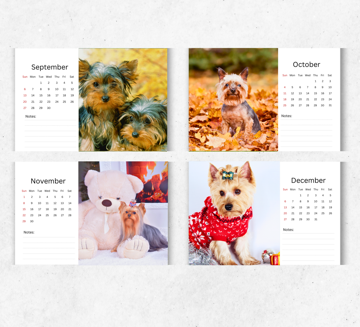 Yorkshire Terrier Desk Calendar 2026-2027