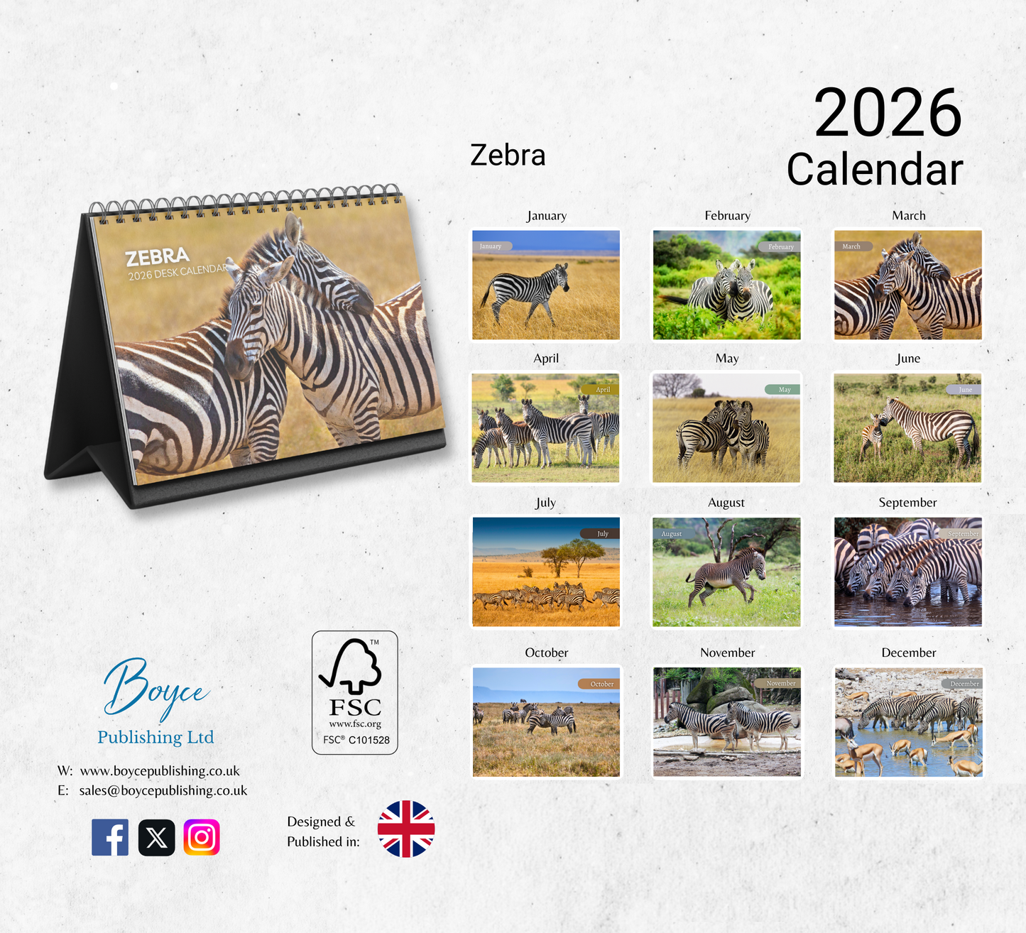 Zebra Desk Calendar 2026-2027