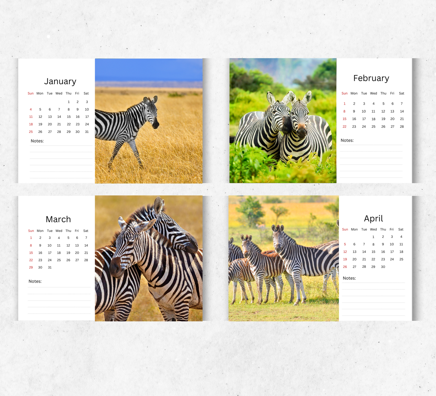 Zebra Desk Calendar 2026-2027