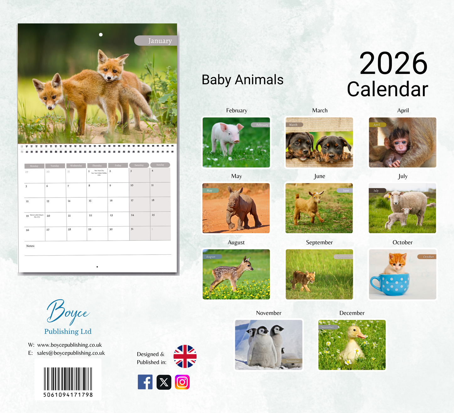 Baby Animals Calendar 2026