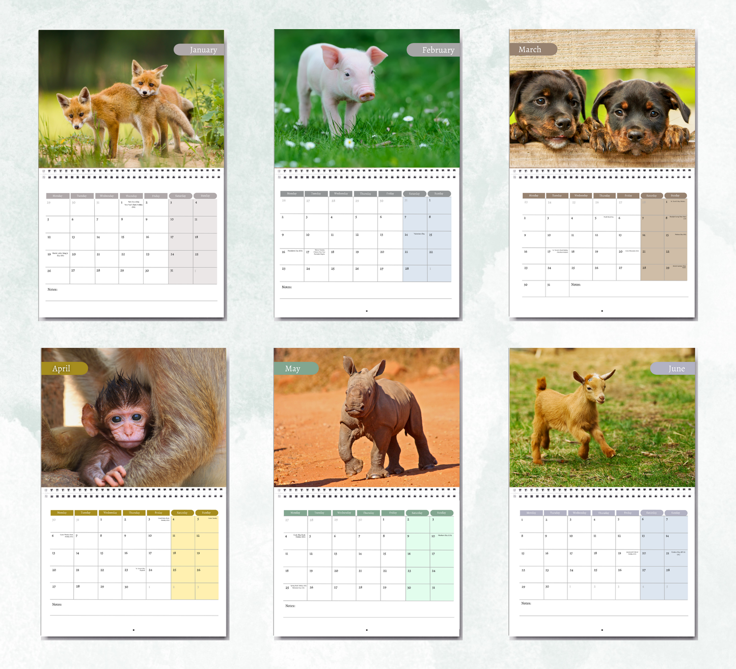 Baby Animals Calendar 2026