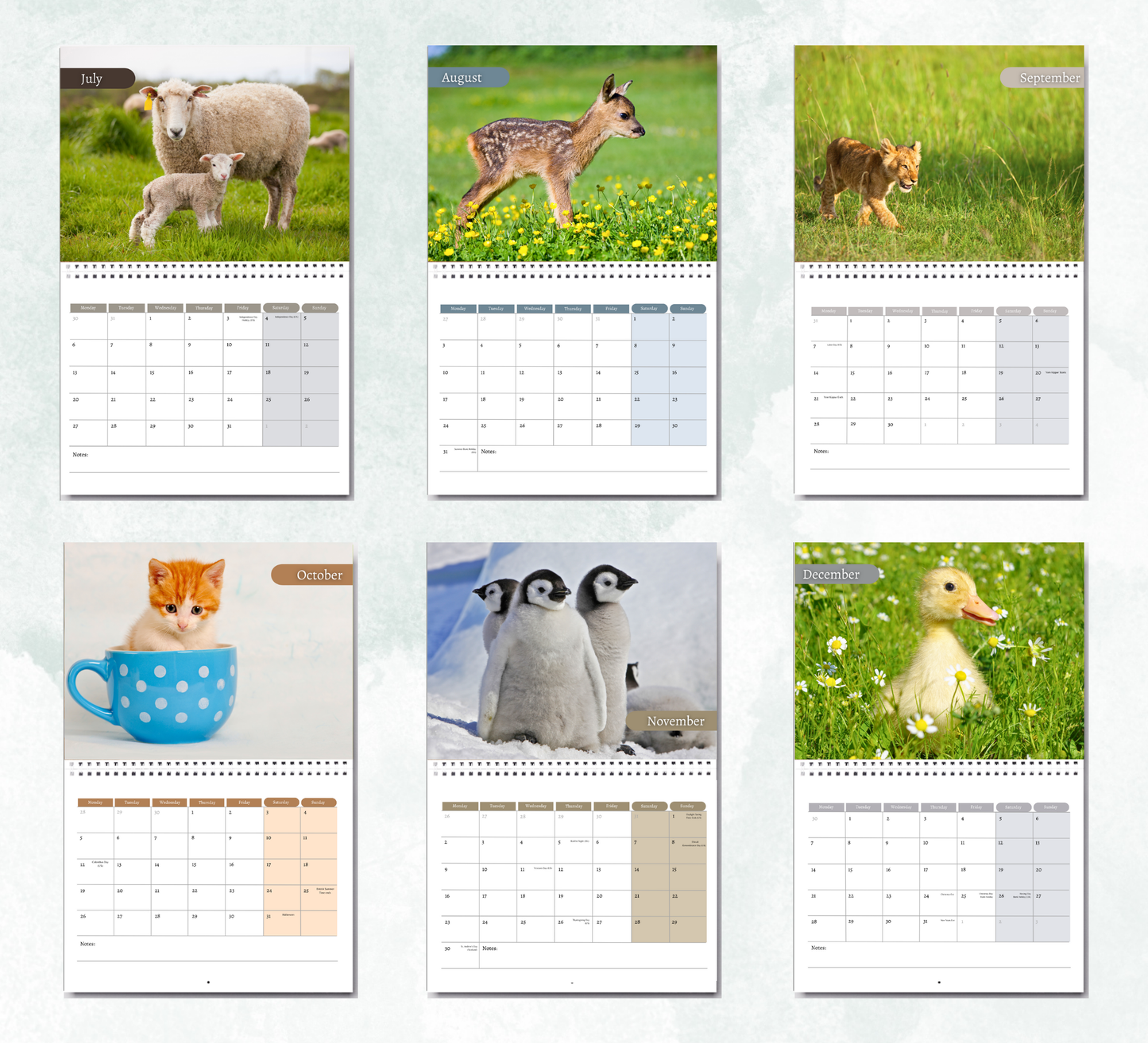 Baby Animals Calendar 2026
