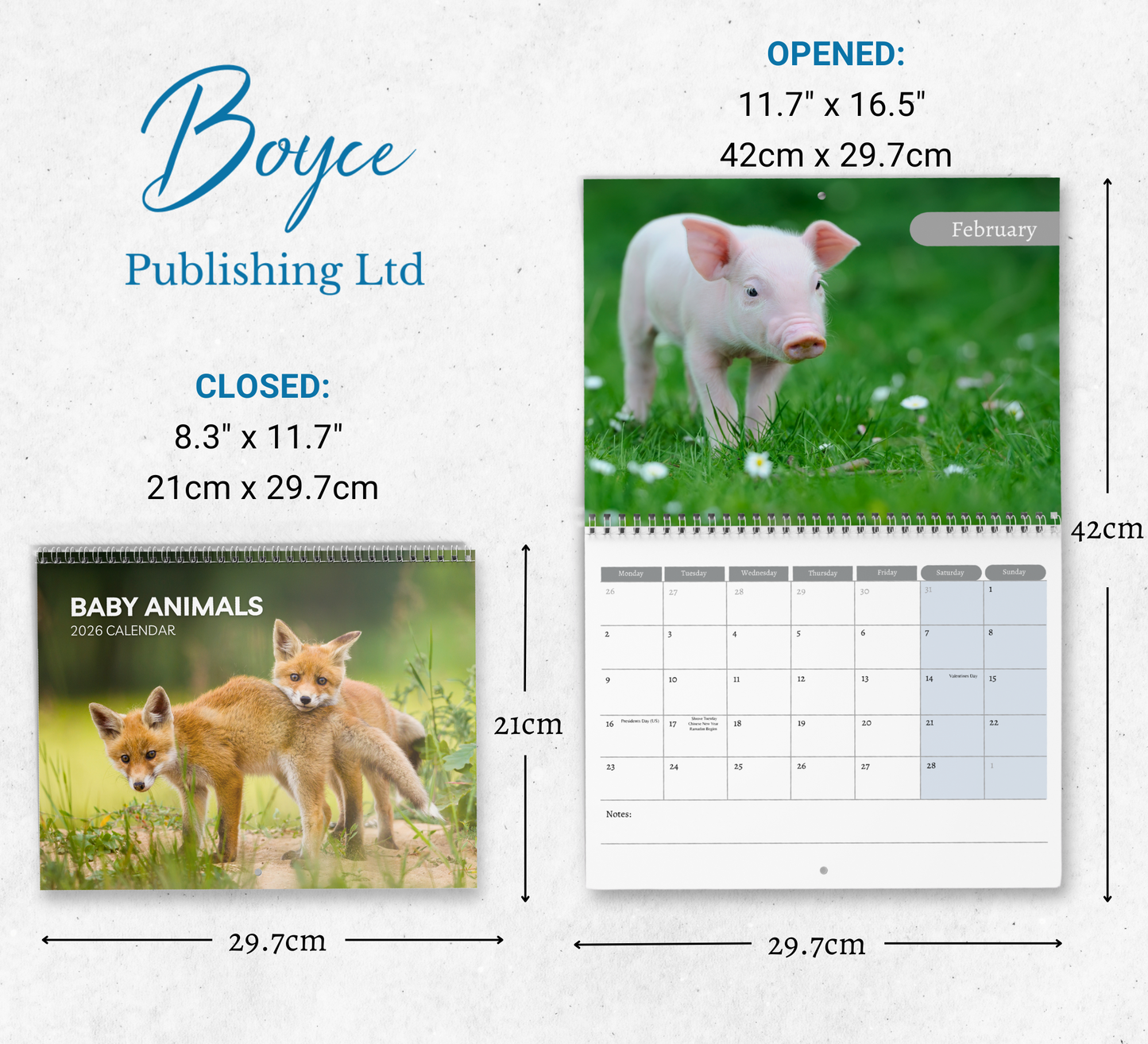 Baby Animals Calendar 2026
