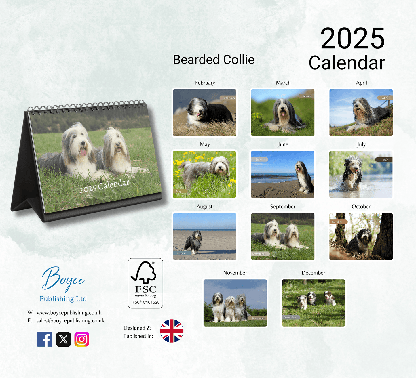 Bearded Collie Desk Calendar 2025
