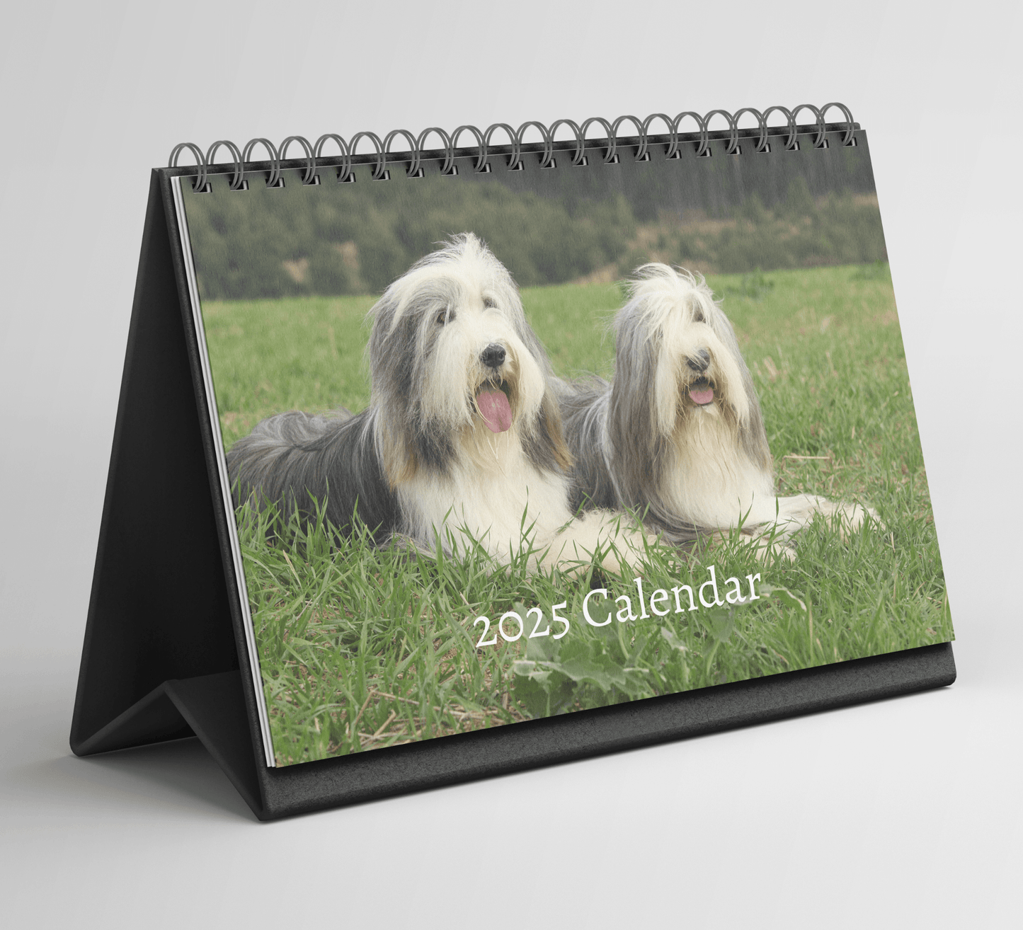 Bearded Collie Desk Calendar 2025