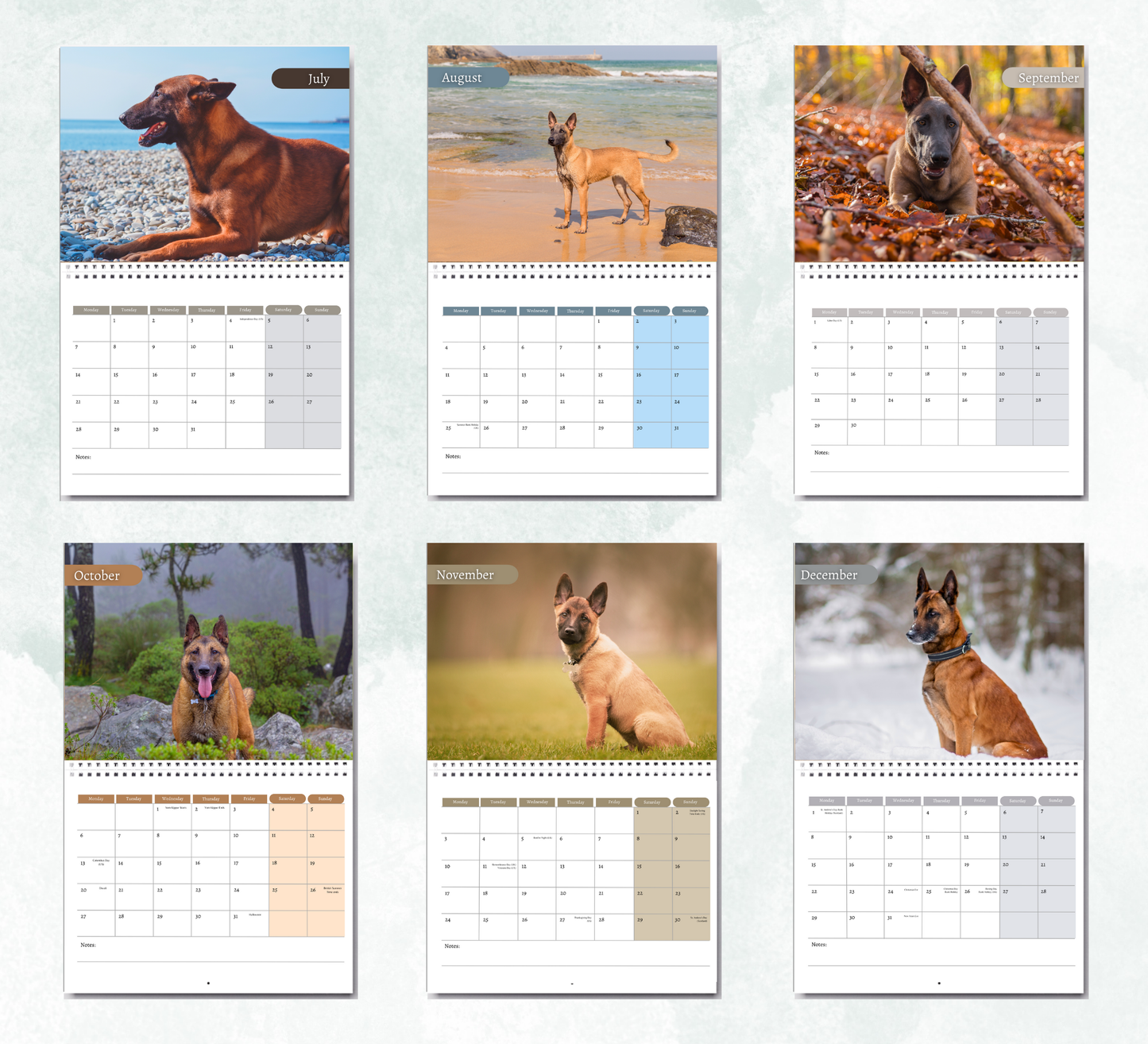 Belgian Malinois Calendar 2026
