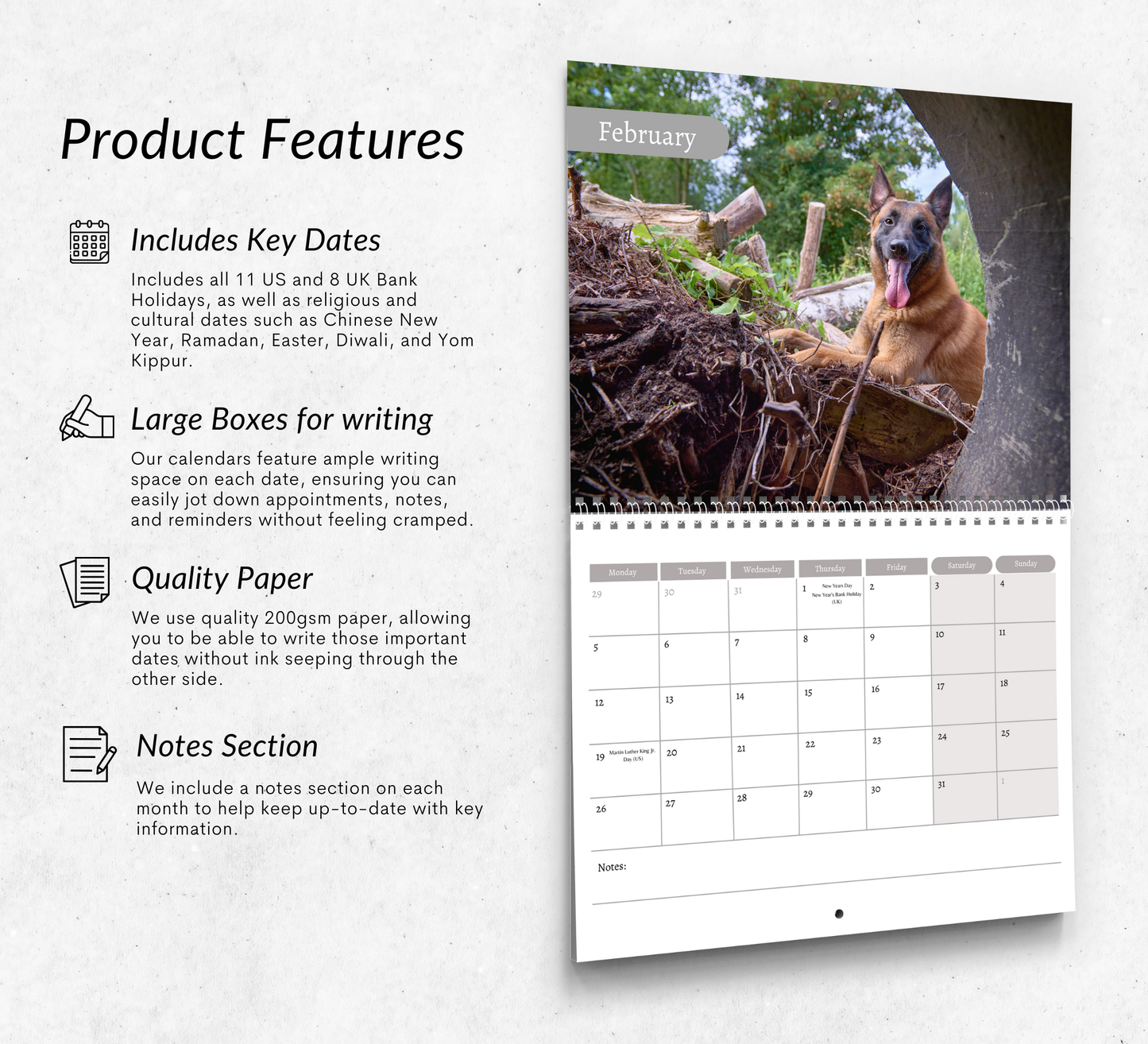 Belgian Malinois Calendar 2026