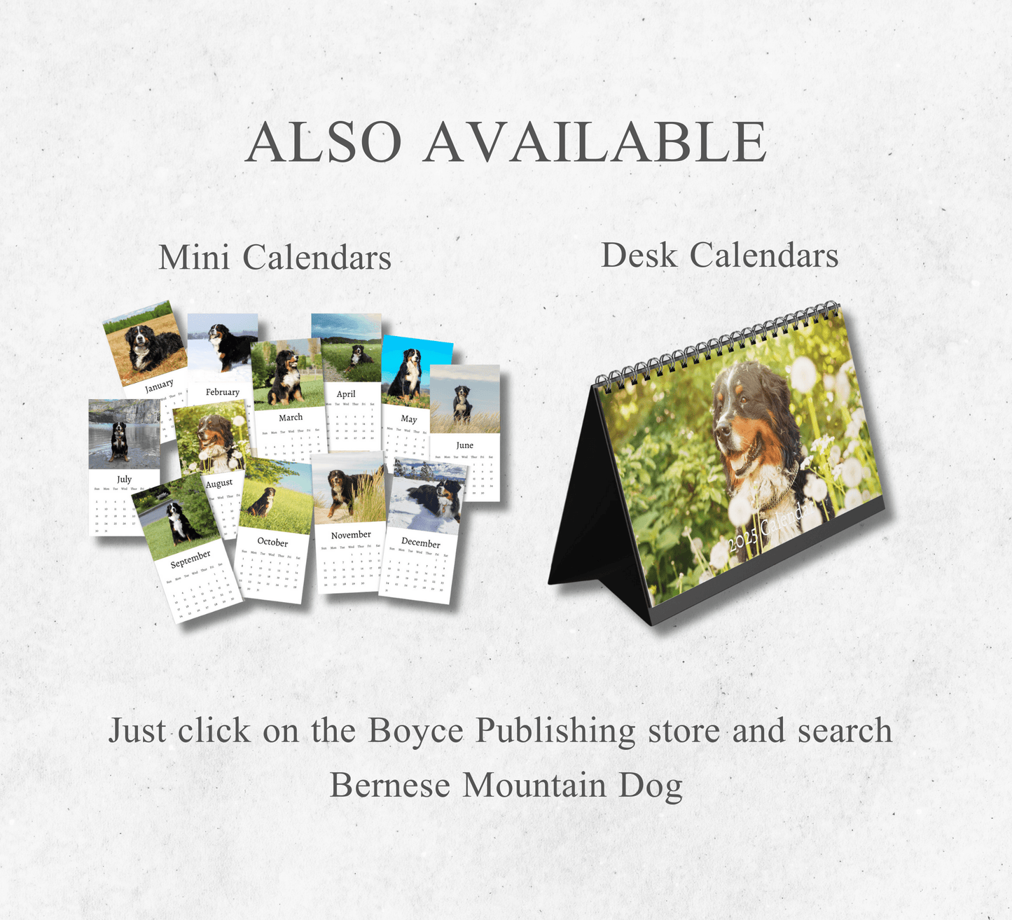 Bernese Mountain Dog Calendar 2025