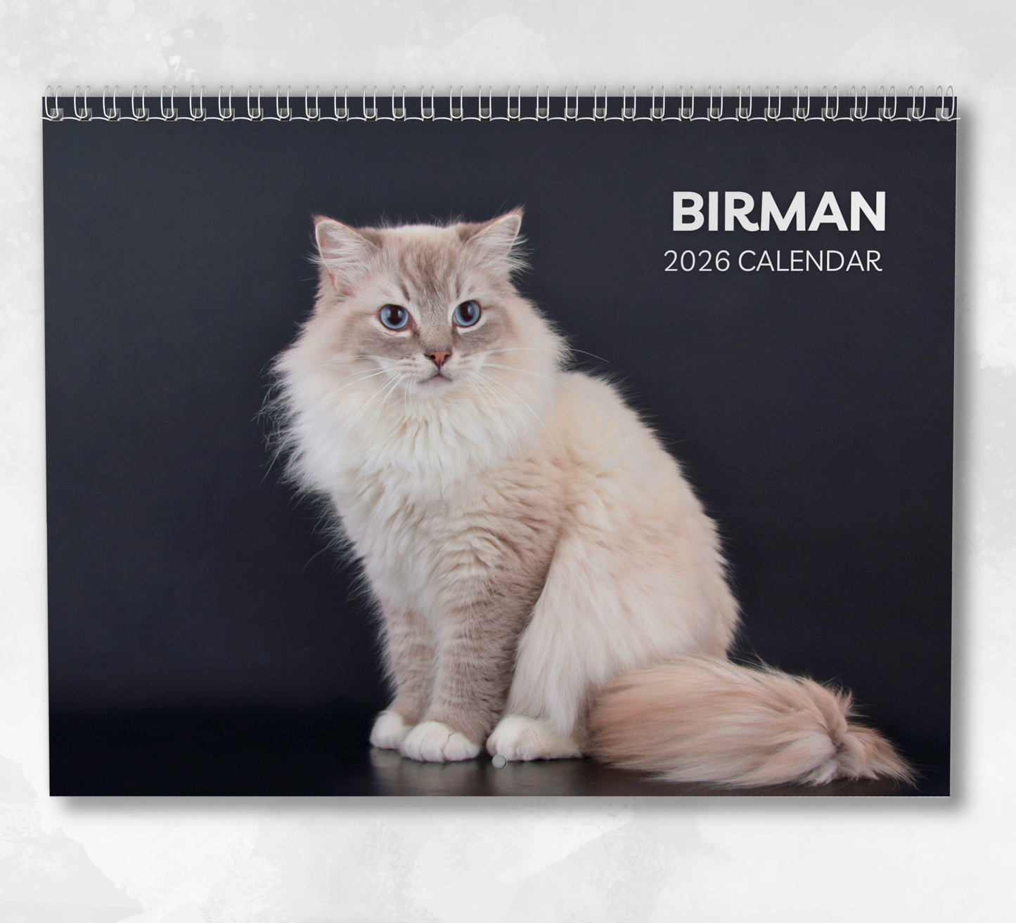 Birman Cat Calendar 2026