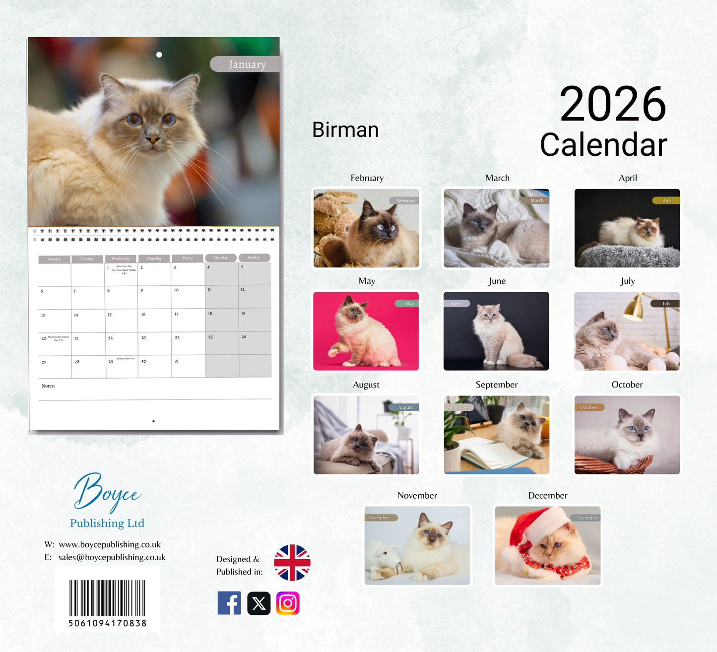 Birman Cat Calendar 2026