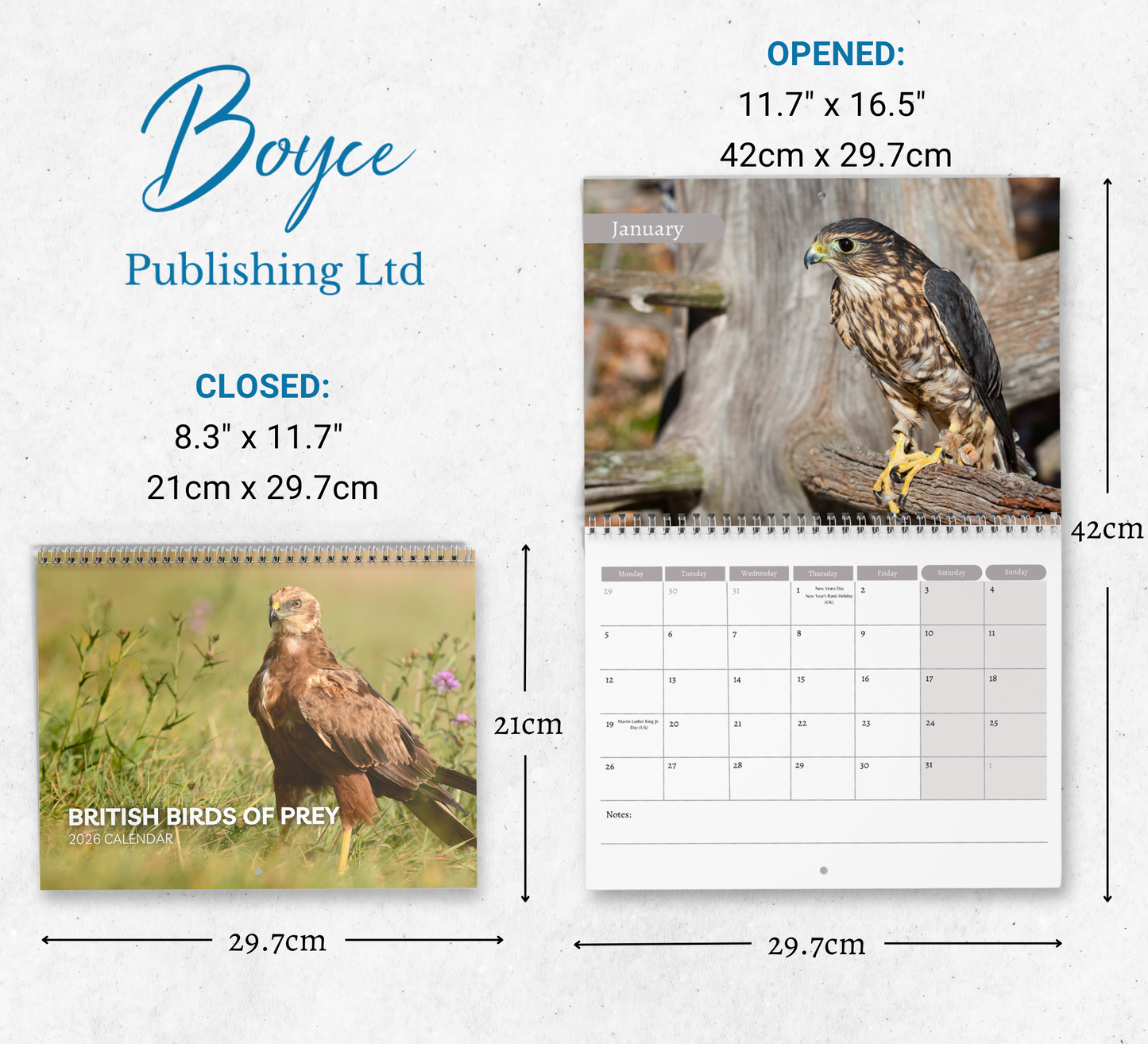 British Birds of Prey Calendar 2026