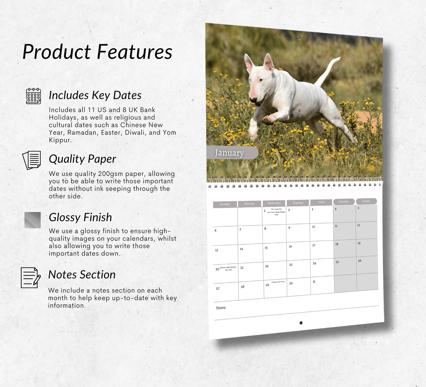 Bull Terrier Calendar 2025