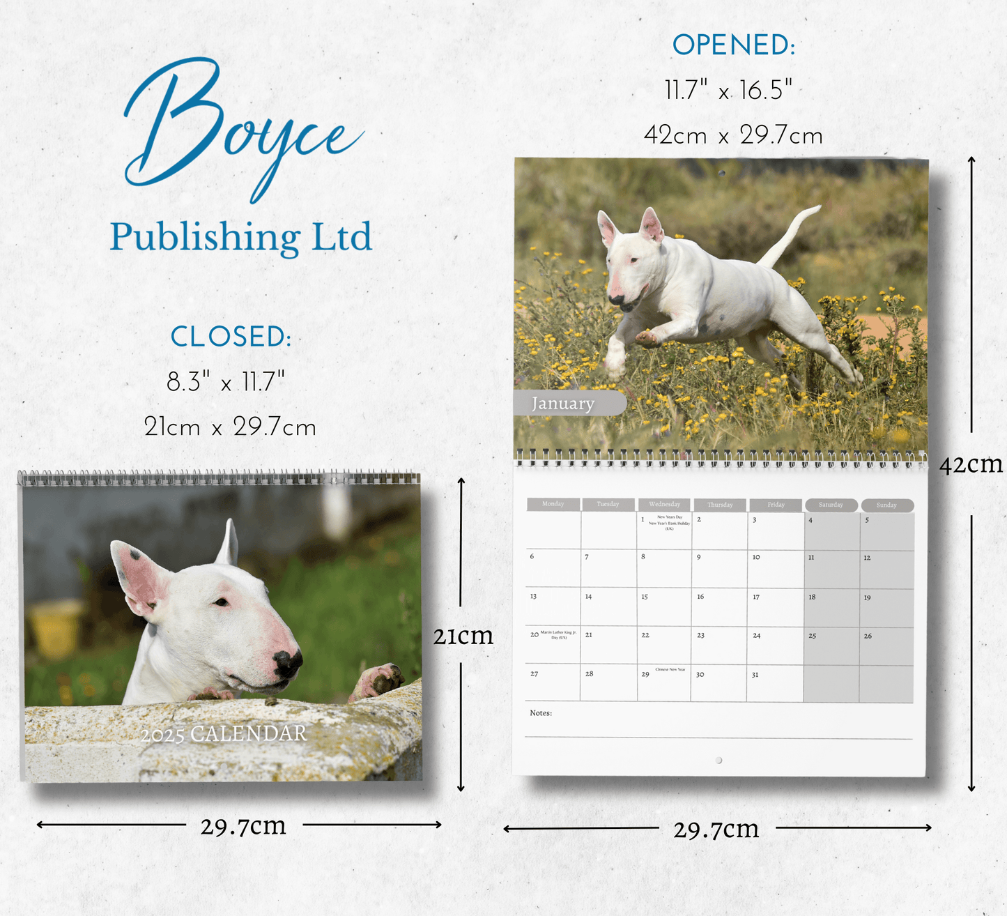 Bull Terrier Calendar 2025