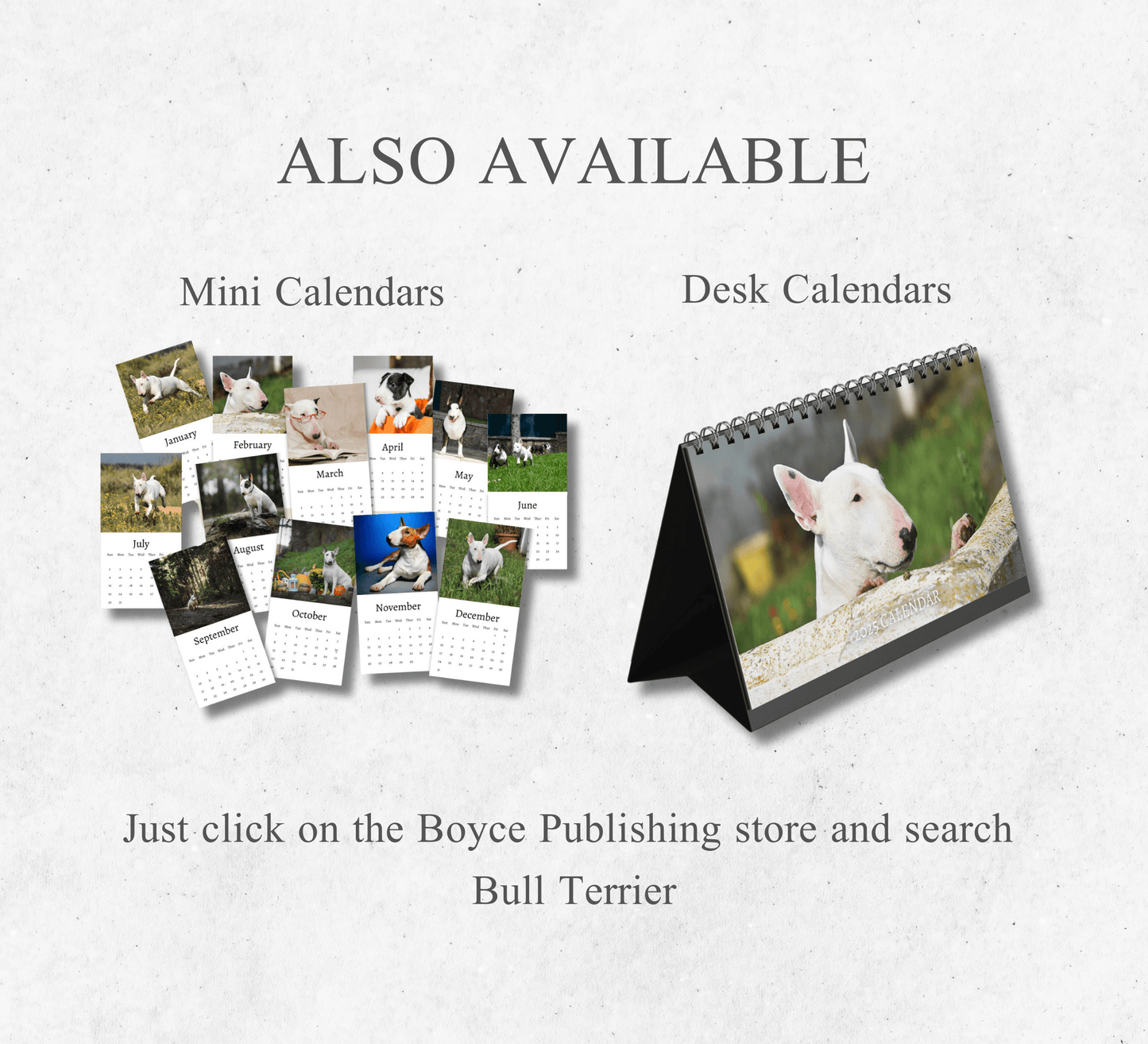 Bull Terrier Calendar 2025