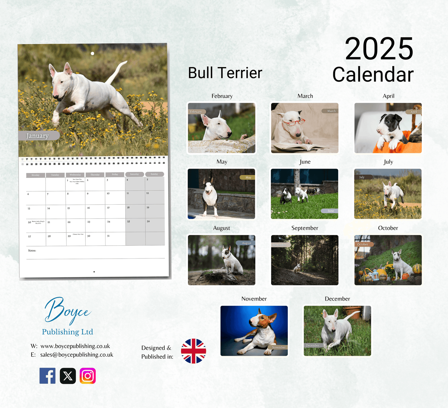 Bull Terrier Calendar 2025