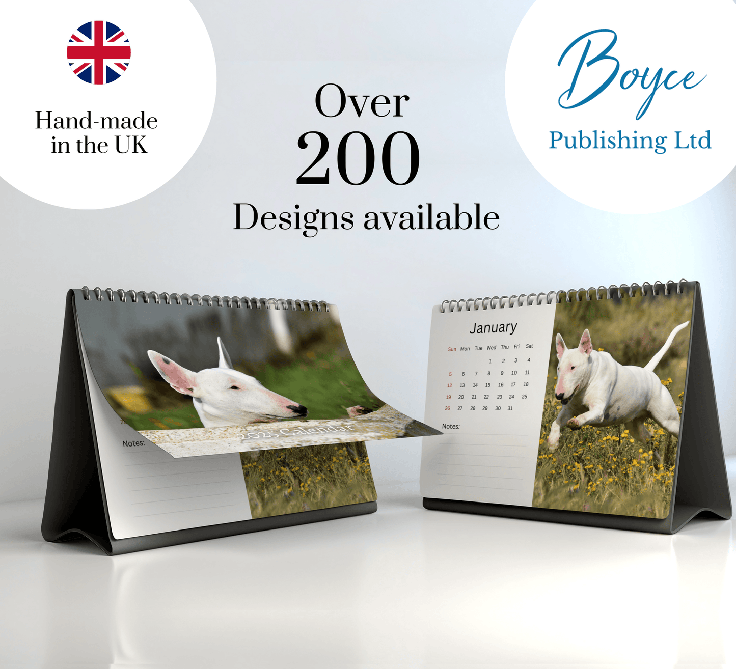 Bull Terrier Desk Calendar 2025