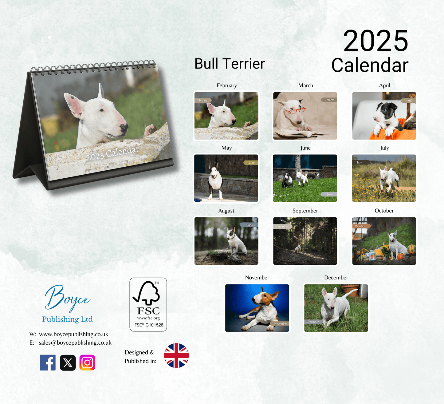 Bull Terrier Desk Calendar 2025