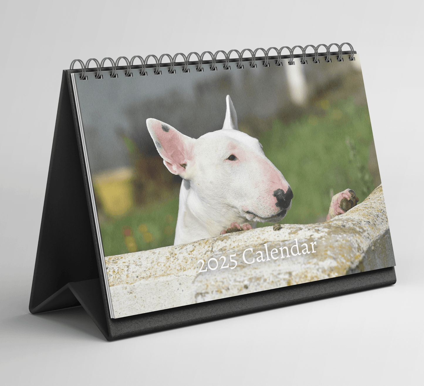 Bull Terrier Desk Calendar 2025