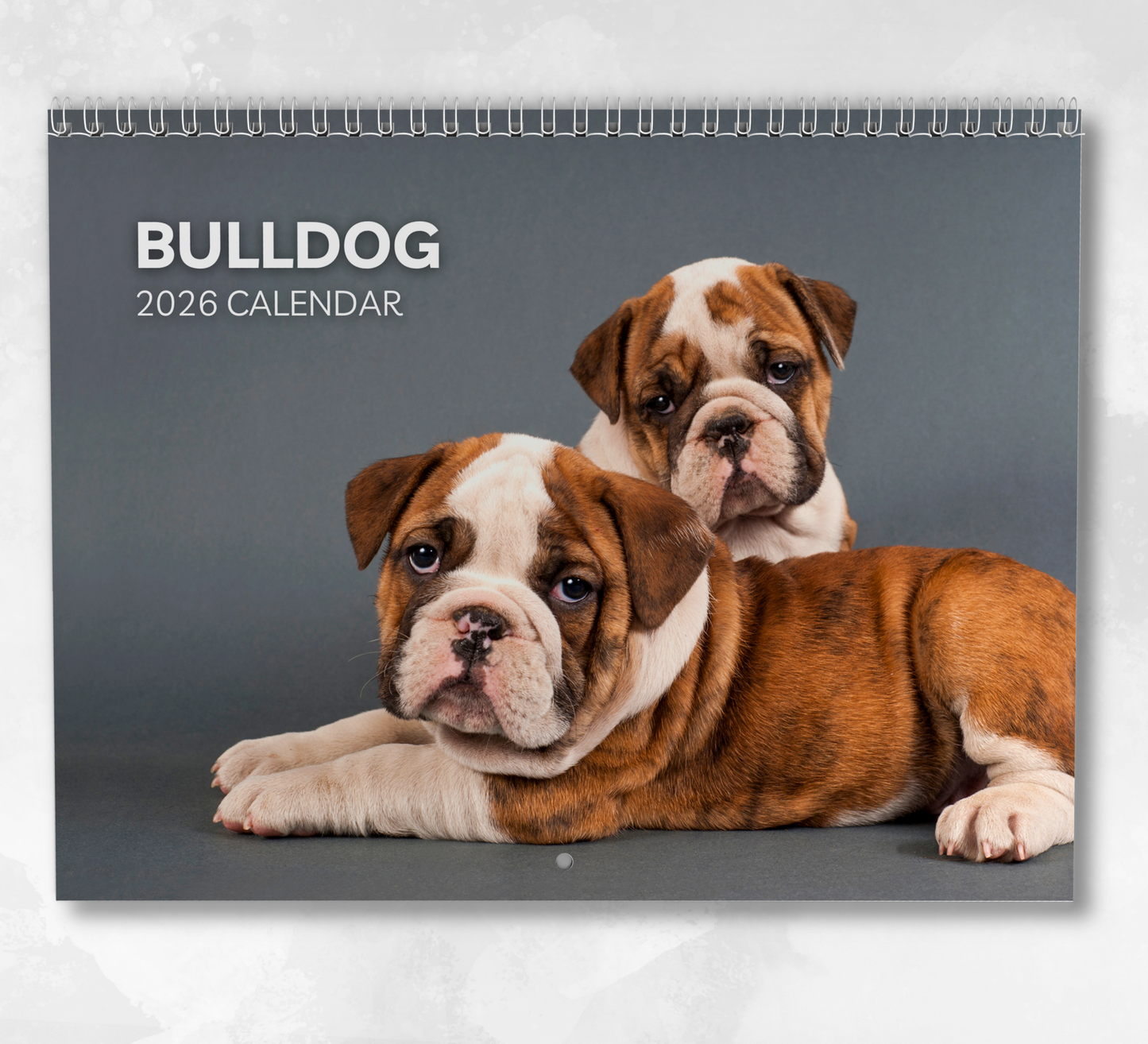 Bulldog Calendar 2026