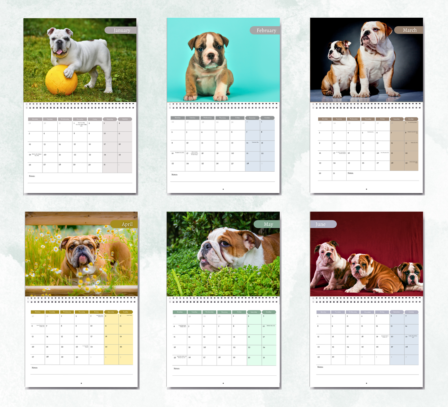 Bulldog Calendar 2026