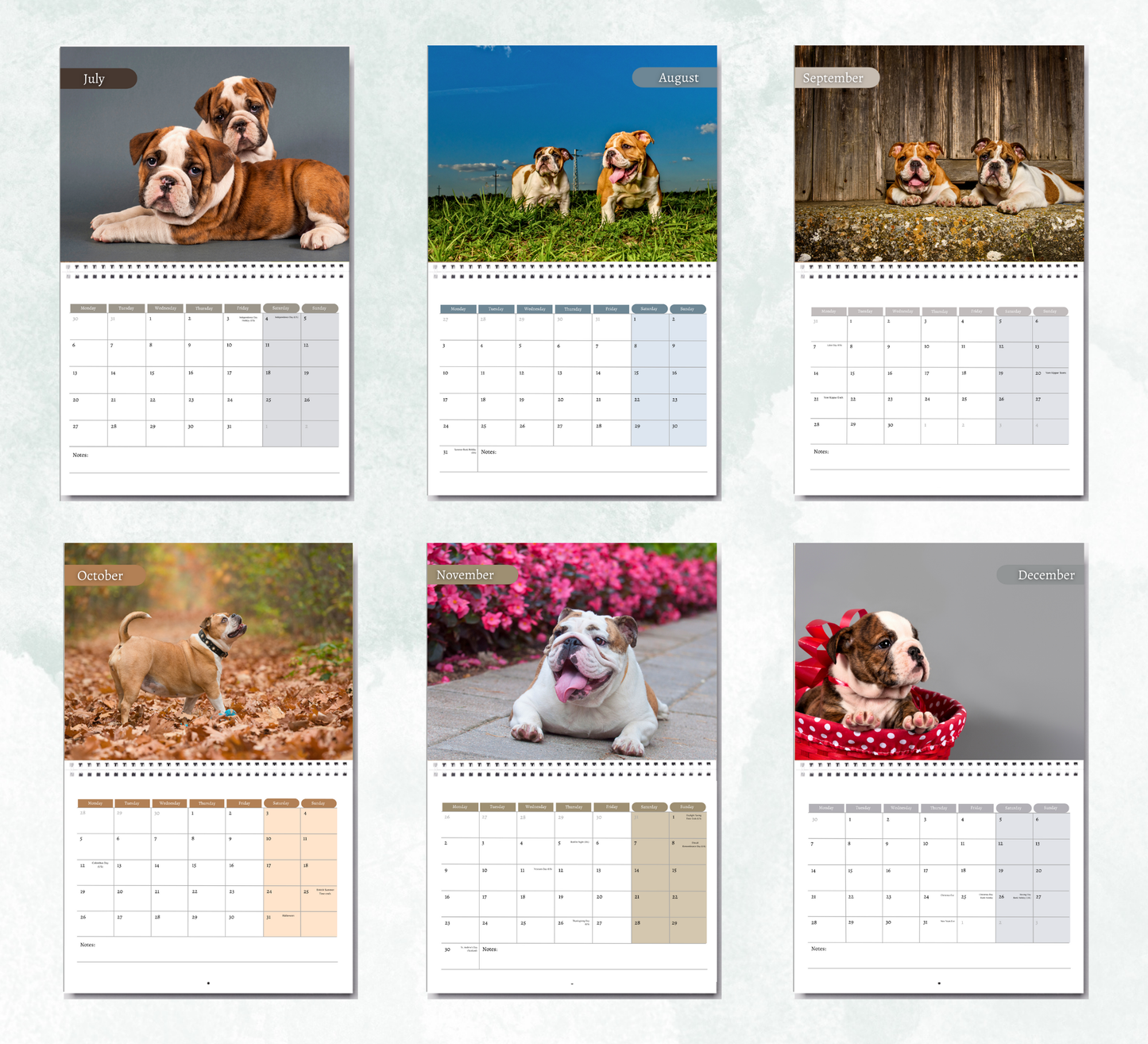 Bulldog Calendar 2026