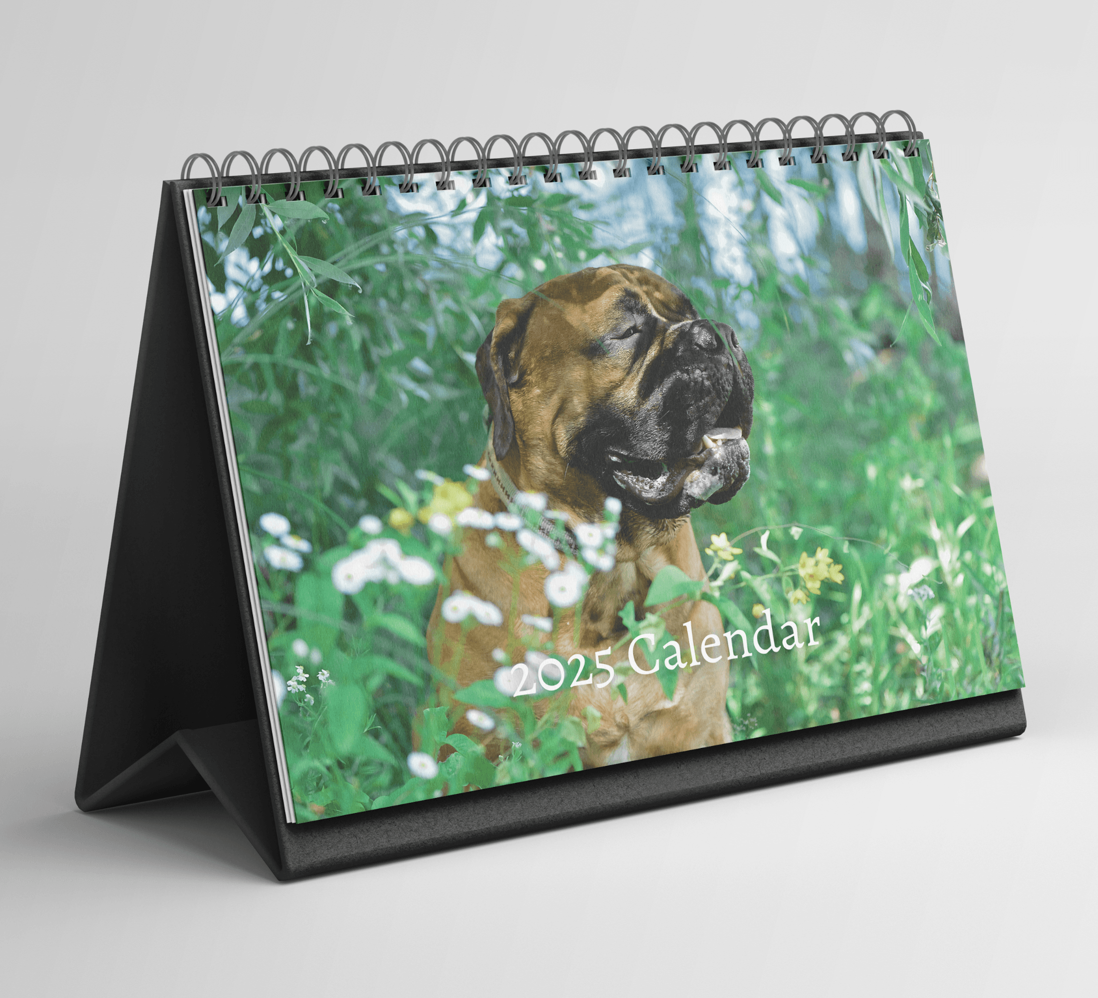 Bullmastiff Desk Calendar 2025 Standing Flip Desktop Calendar with