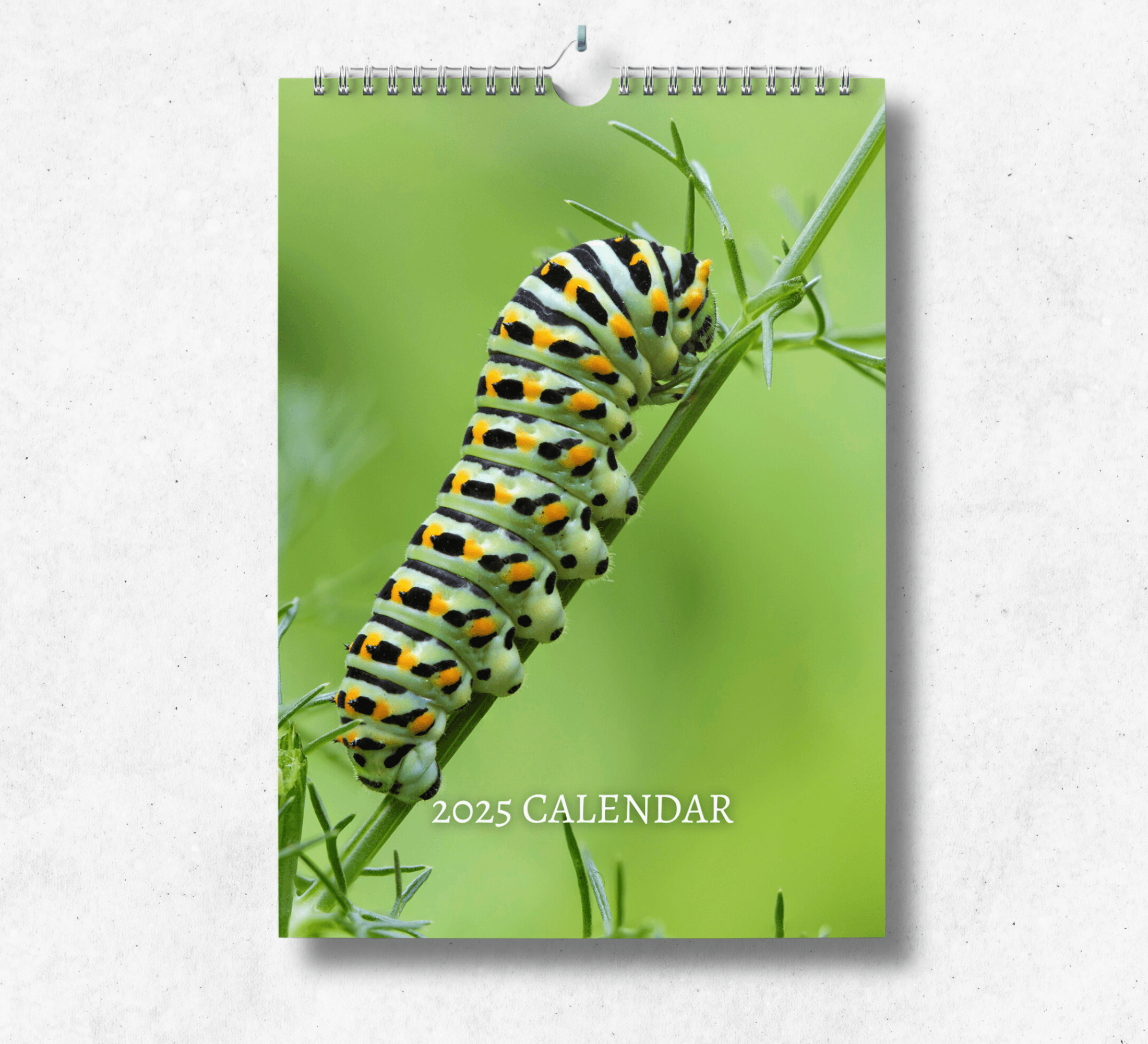 Caterpillar Calendar 2025 Monthly Wall Calendar with Notes, Hanging A4