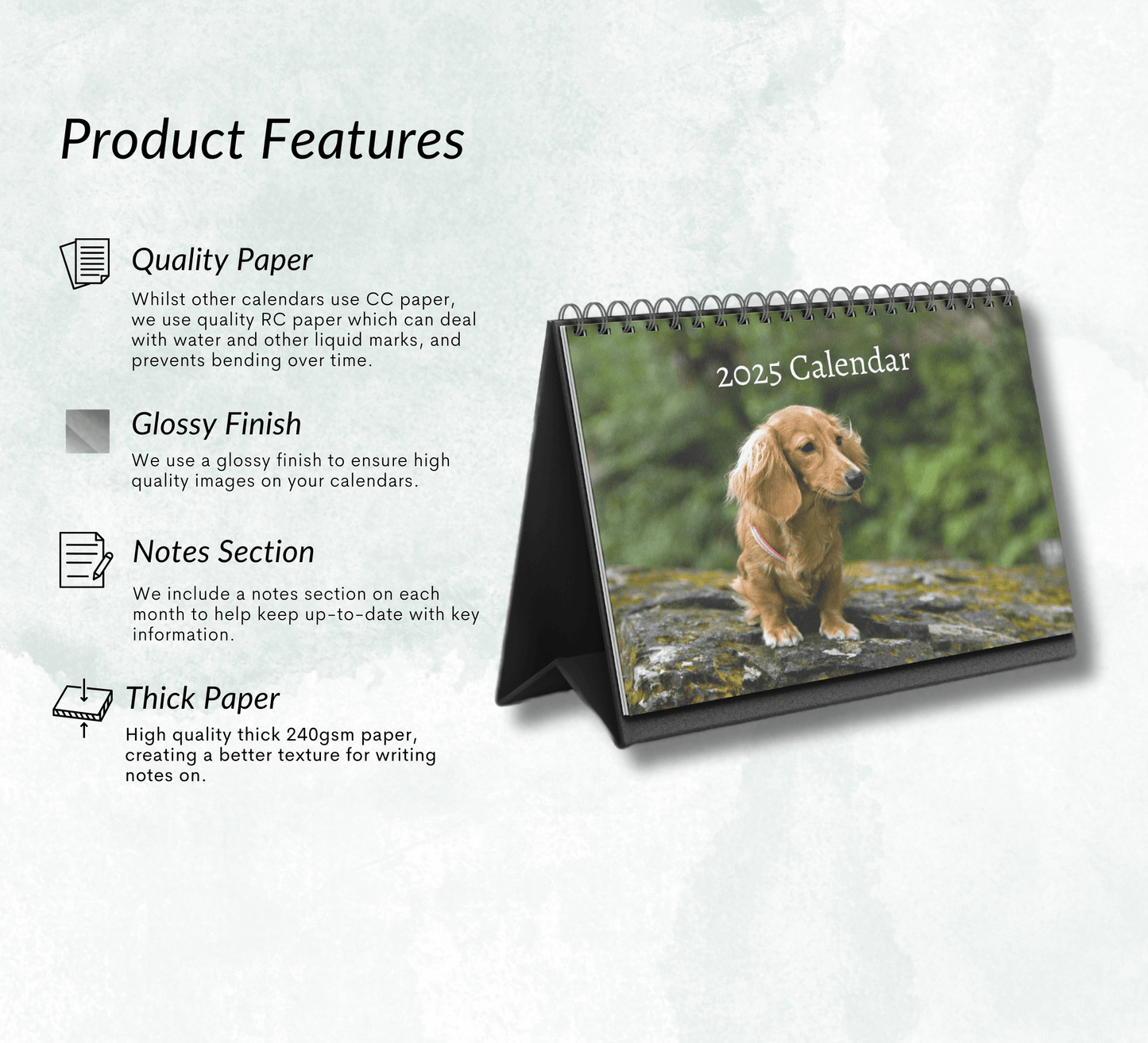 Dachshund Desk Calendar 2025