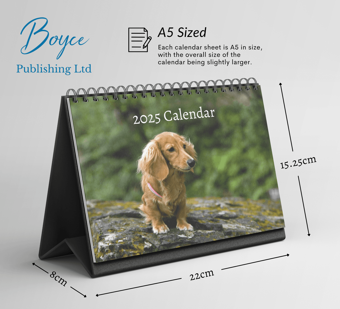 Dachshund Desk Calendar 2025