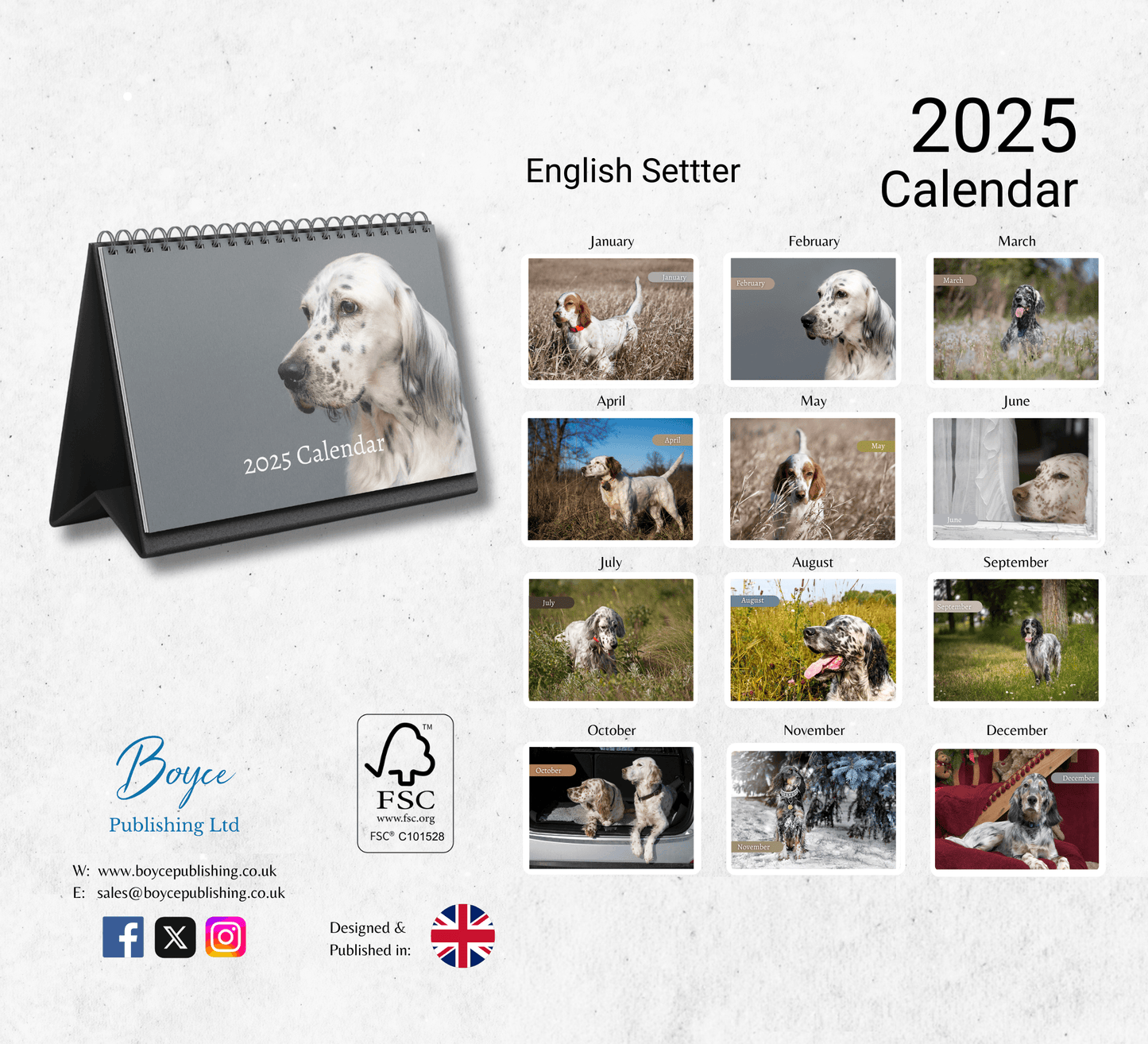 English Setter Desk Calendar 2025