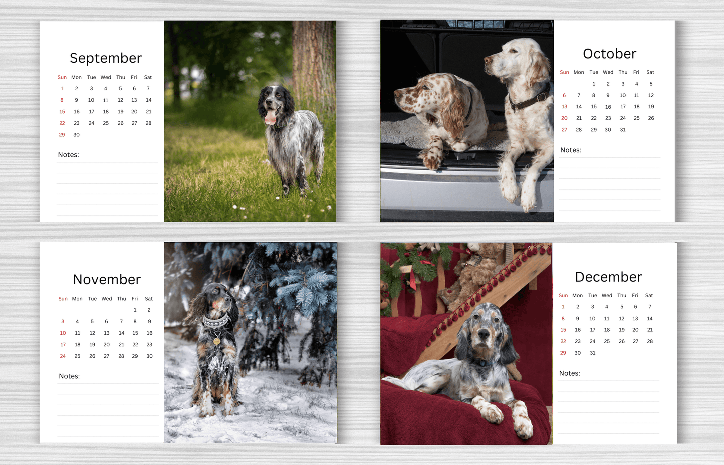 English Setter Desk Calendar 2025