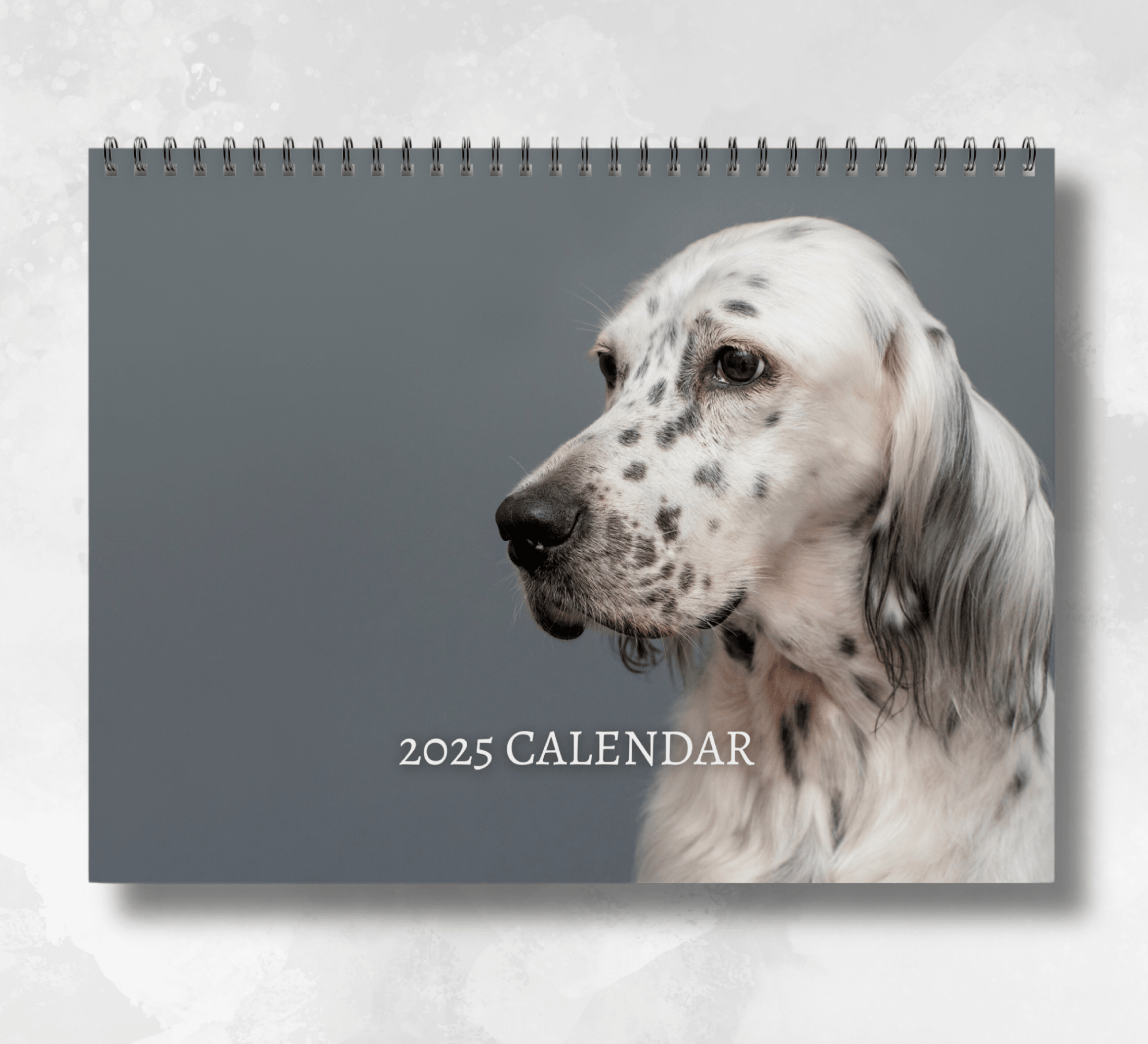 English Setter Calendar 2025 Monthly Wall Calendar with Notes, opens