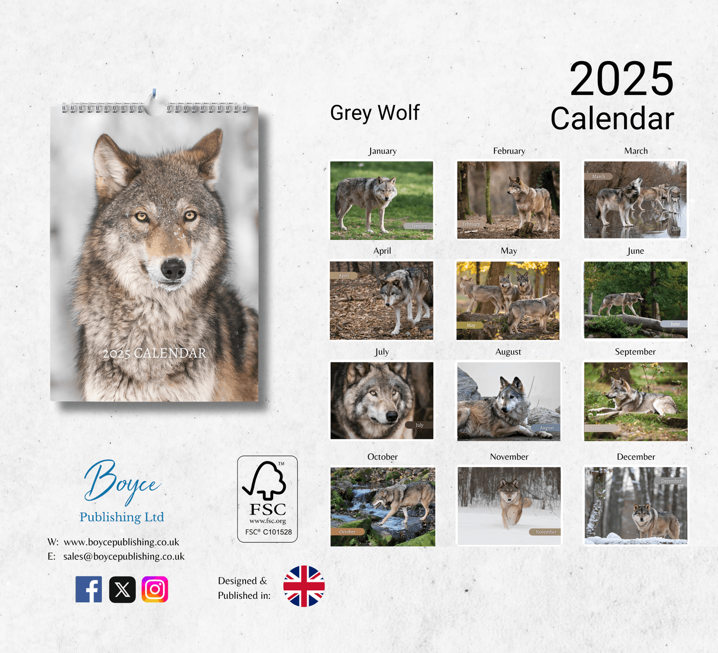 Grey Wolf Calendar 2025
