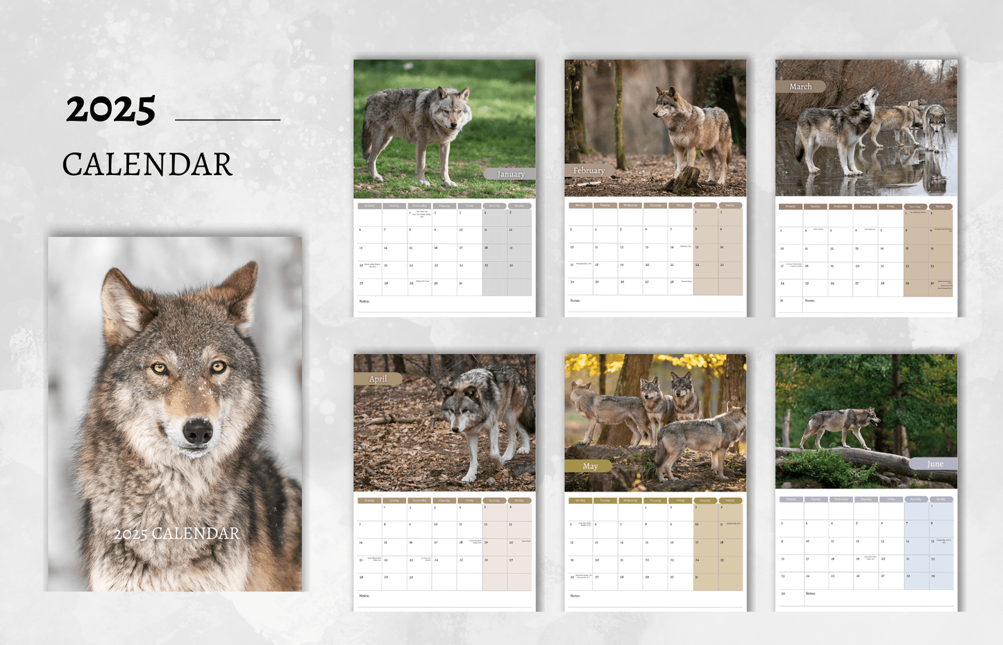 Grey Wolf Calendar 2025