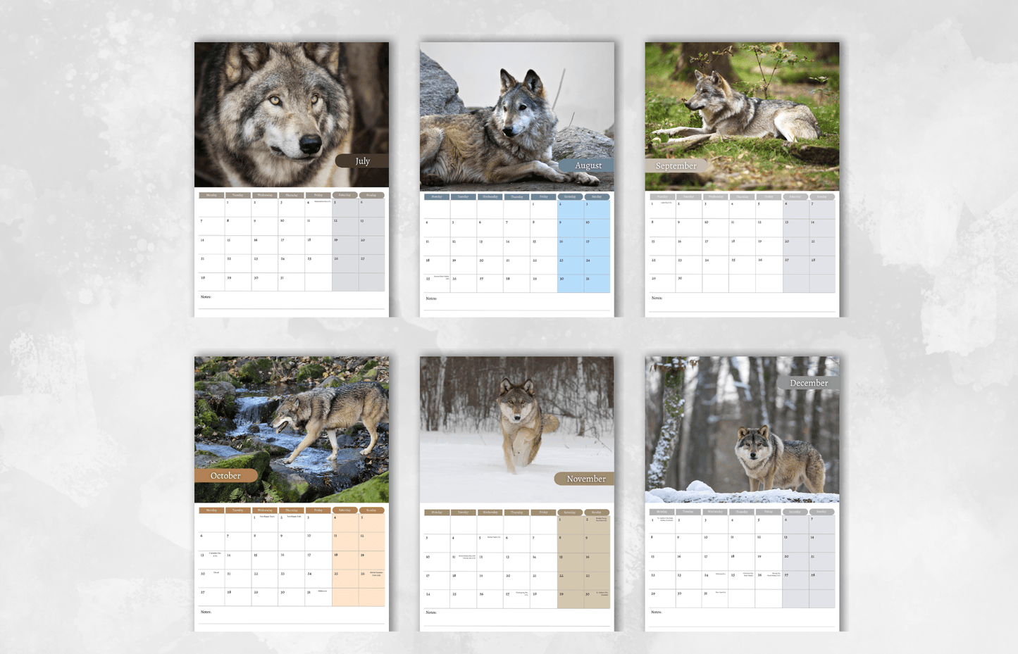 Grey Wolf Calendar 2025