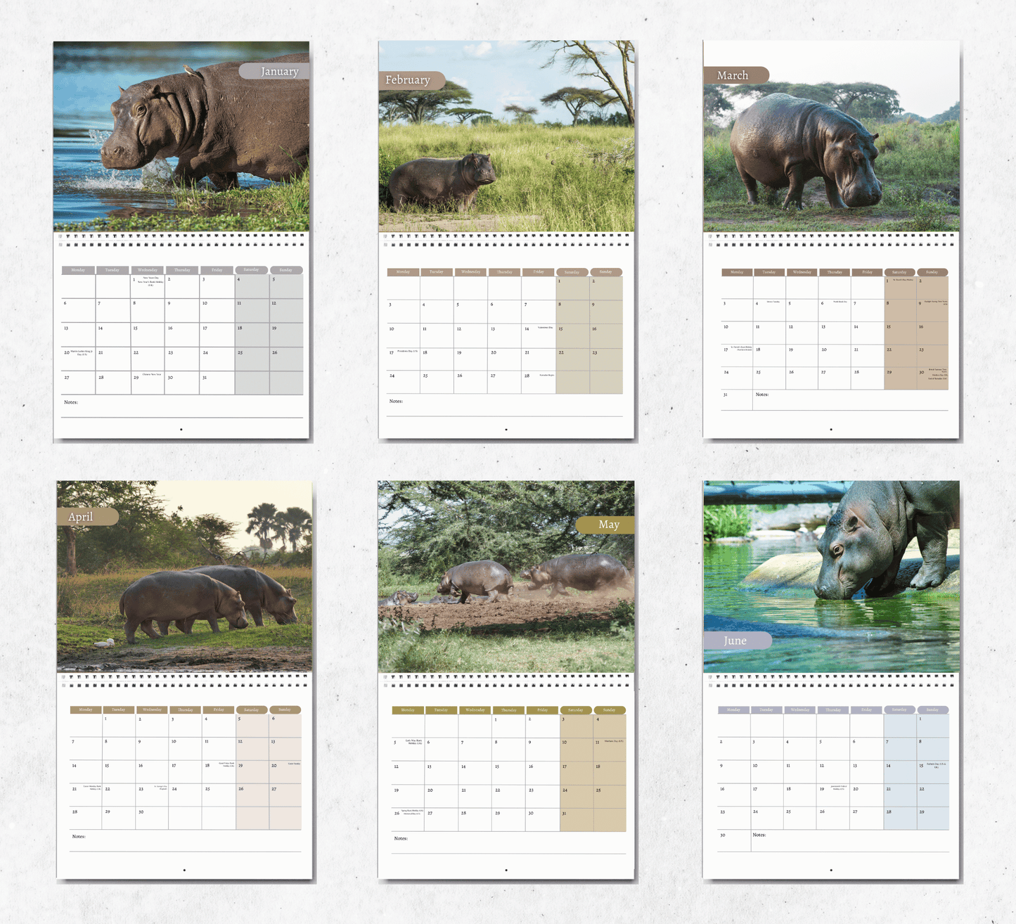 Hippo Calendar 2025