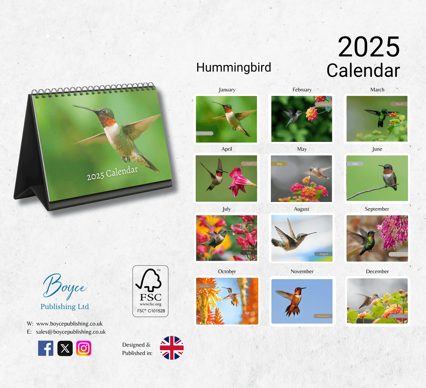 Hummingbird Desk Calendar 2025