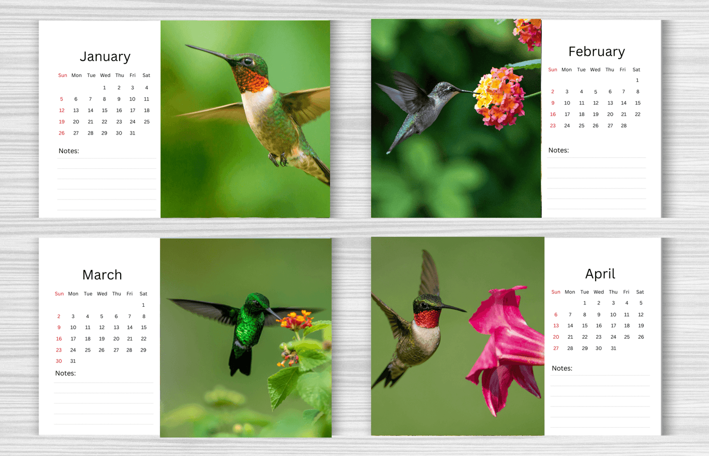 Hummingbird Desk Calendar 2025