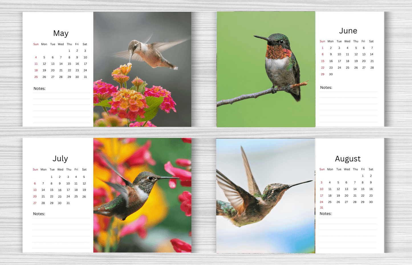 Hummingbird Desk Calendar 2025