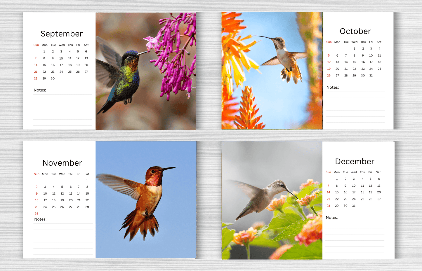 Hummingbird Desk Calendar 2025