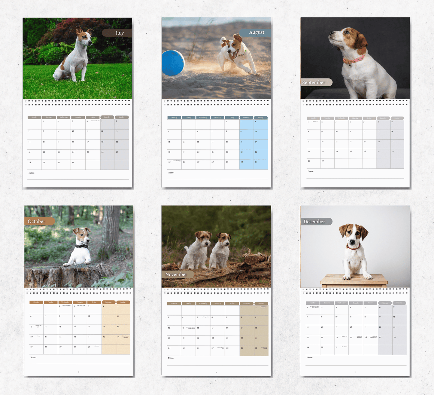 Jack Russell Calendar 2025