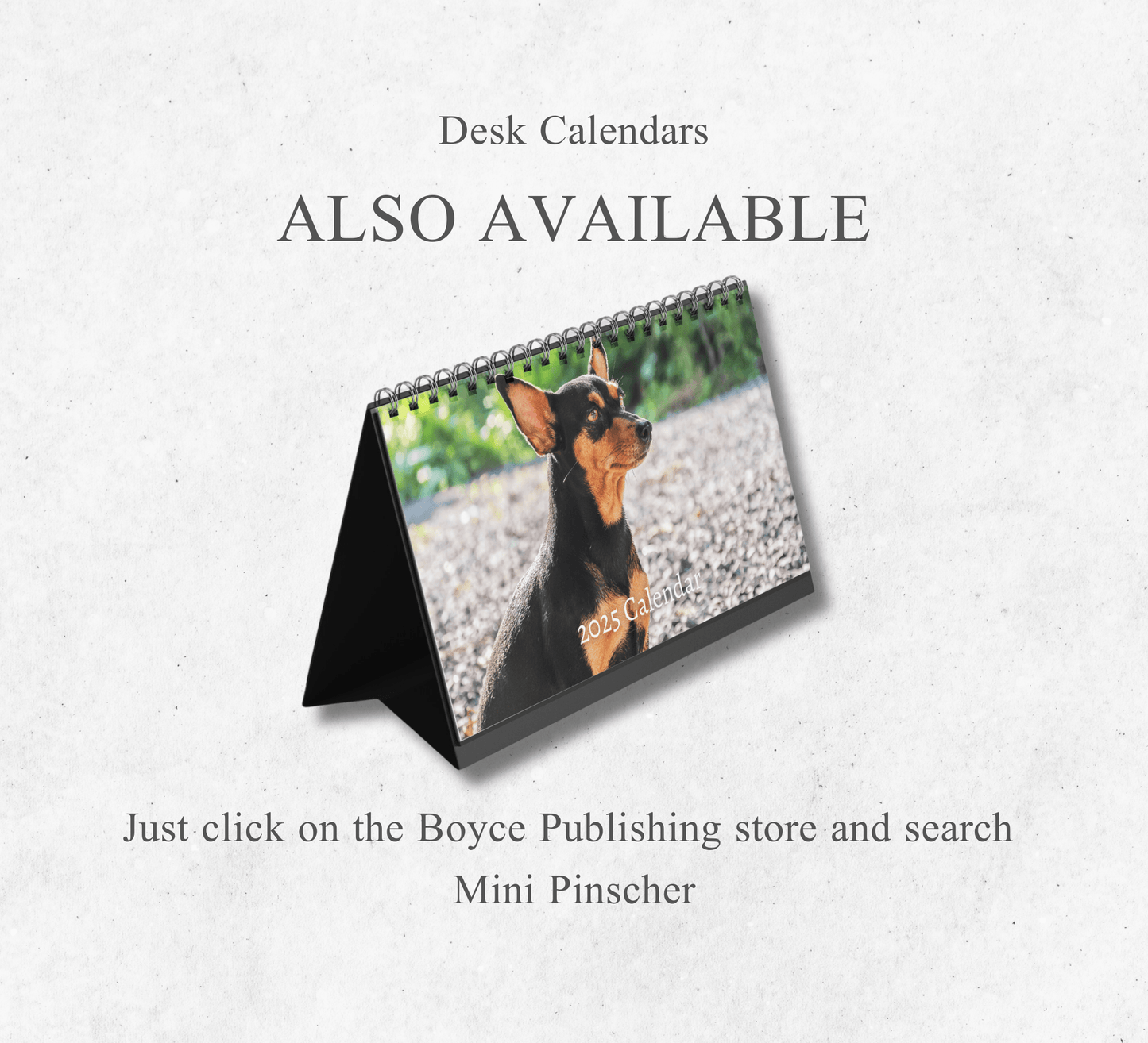 Miniature Pinscher Calendar 2025