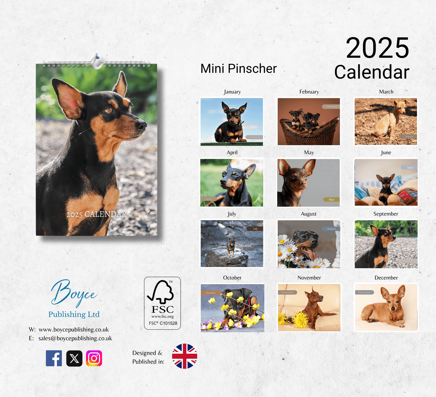 Miniature Pinscher Calendar 2025