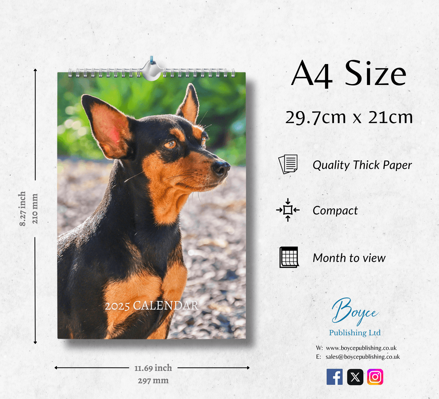 Miniature Pinscher Calendar 2025