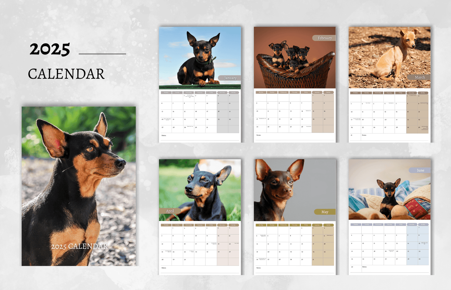 Miniature Pinscher Calendar 2025